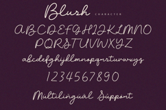 Blush - Script Font Product Image 8