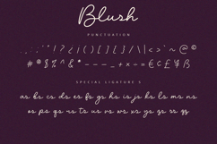 Blush - Script Font Product Image 9