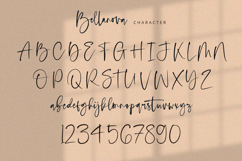 Bellanova - Signature Font Product Image 8