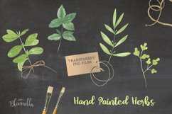 Herbs Watercolor 7 Elements Green Foliage Herb Garden Product Image 2