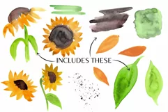 Sunflowers Watercolor Clip Art Nature Floral Sublimation Product Image 2