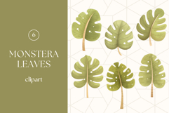 Monstera Leaves Clipart PNG Product Image 1