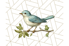 Vintage Song Bird Clipart PNG, Botanical Bird Art Clip Art Product Image 2