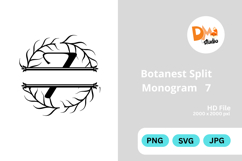 Botanest Split Monogram Product Image 1