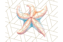 Natural Seashell Clipart PNG, Summer Nautical Beach Shell Product Image 2