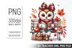 Teacher Owl Clipart PNG, Cute Owl, Digital Download File Product Image 1
