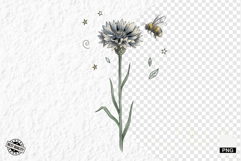 1920 Botanical Summer Wildflowers Clipart Product Image 1
