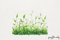 Watercolor Grass Borders Clipart PNG Product Image 1