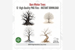 Bare Winter Trees PNG Clipart Bundle | Winter Tree Product Image 4