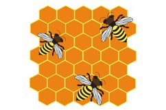 Different types honey different size for bees in honeycombs Product Image 1
