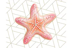 Summer Iced Cookie Clipart PNG, Cute Tropical Cookies Product Image 2