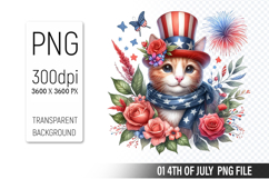 4th of July Cat Clipart PNG, Animal illustration for crafts Product Image 1