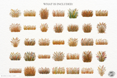 Autumn Grass Clipart Product Image 4