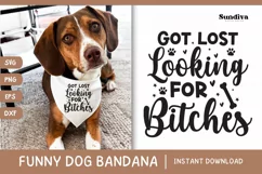 Funny Dog Bandana Quotes SVG | Got Lost Looking For Product Image 1