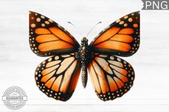 Halloween Butterfly Sublimation - Clipart PNG Bundle Product Image 6