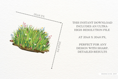 Whimsy Spring Green Grass Clipart Product Image 5