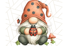 Summer Garden Gnomes Clipart PNG, Summer Country Gnomes Png Product Image 2