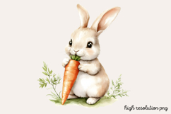 Carrot Watercolor Clipart PNG Product Image 1