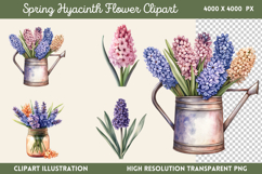 Spring Hyacinth Flower Clipart PNG Product Image 1