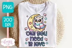 Owl you need is love PNG, Valentines day sublimation PNG Product Image 2