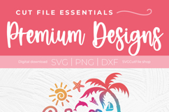 Galveston, Texas SVG for Cricut or Silhouette 2026 Product Image 5