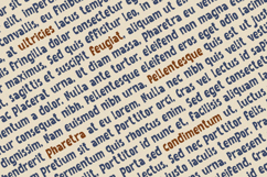 Burnout Paradise - Display Font Product Image 5