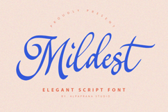 Mildest - Script Font Product Image 1