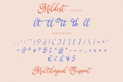 Mildest - Script Font Product Image 10