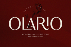 Olario - Sans Serif Font Product Image 1