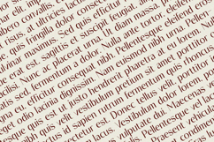 Olario - Sans Serif Font Product Image 2