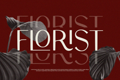 Olario - Sans Serif Font Product Image 3