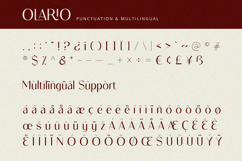 Olario - Sans Serif Font Product Image 9