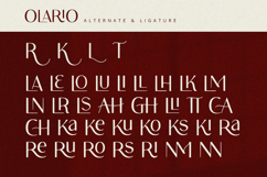 Olario - Sans Serif Font Product Image 10