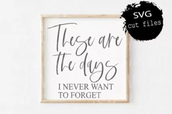 These Are The Days I Never Want To Forget Svg, Farmhouse Svg Product Image 1