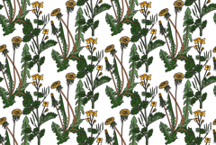 Botanical floral seamless pattern with dandelion and celandi Product Image 1
