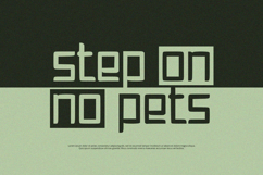 Amora - Display Font Product Image 2