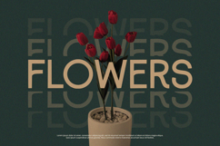 Eighty - Sans Serif Font Product Image 2