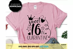 16th Birthday shirt Happy birthday shirt SVG Cheers SVG Product Image 1