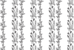 Line art botanical seamless floral pattern with dandelion bg Product Image 1