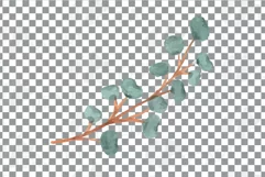 Watercolor bridal flowers on summer berry colors clip art Product Image 19