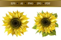 Set of realistic sunflowers Product Image 1