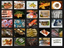 200 FISH SEA FOOD PHOTOSHOP OVERLAYS, BACKDROPS, BACKGROUNDS Product Image 7