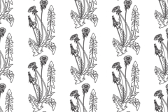 Line art botanical seamless floral pattern with dandelions Product Image 1