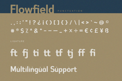 Flowfield - Sans Serif Font Product Image 9
