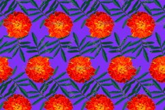 12 Seamless colorful FLOWER patterns bundle. Digital Paper Product Image 10