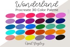 Wonderland / Fun Procreate Color Palette / Color Swatches Product Image 1