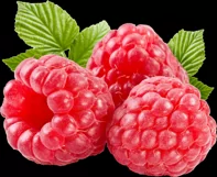 100 FRUITS TRANSPARENT PNG FILES, PHOTOSHOP OVERLAYS Product Image 8