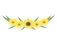 Watercolor Sunflower clipart Product Image 3