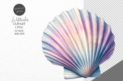 Summer clipart, Shell clipart, Beach clipart Product Image 1