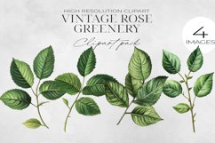 Vintage Pink Rose Flowers Clipart BUNDLE PNG. Product Image 13